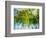 Evergreen No. 9-Sven Pfrommer-Framed Photographic Print