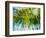 Evergreen No. 9-Sven Pfrommer-Framed Photographic Print