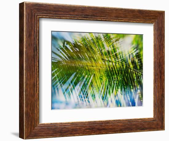 Evergreen No. 9-Sven Pfrommer-Framed Photographic Print