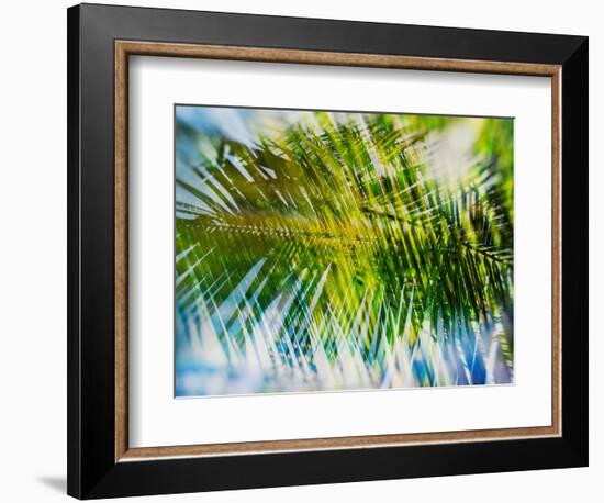 Evergreen No. 9-Sven Pfrommer-Framed Photographic Print