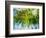 Evergreen No. 9-Sven Pfrommer-Framed Photographic Print