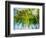 Evergreen No. 9-Sven Pfrommer-Framed Photographic Print