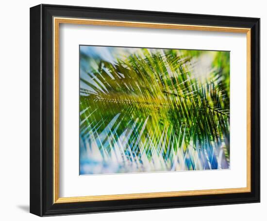 Evergreen No. 9-Sven Pfrommer-Framed Photographic Print