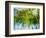 Evergreen No. 9-Sven Pfrommer-Framed Photographic Print