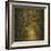 Evergreen Oak Alley (vertical view)-William Guion-Framed Giclee Print