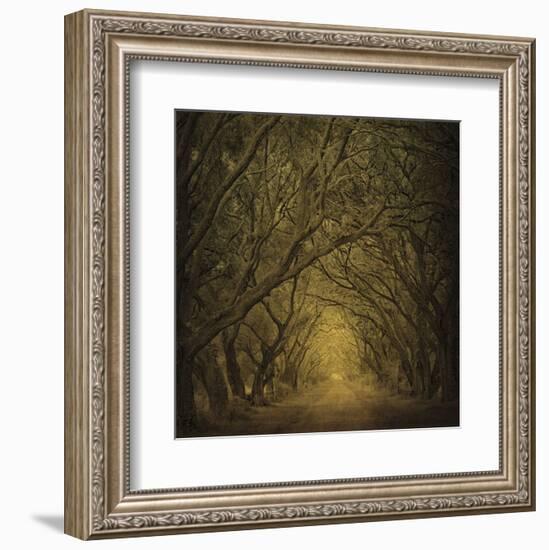 Evergreen Oak Alley (vertical view)-William Guion-Framed Art Print