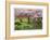 Evergreen Park-Donald Paulson-Framed Giclee Print