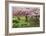 Evergreen Park-Donald Paulson-Framed Giclee Print