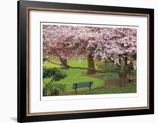 Evergreen Park-Donald Paulson-Framed Giclee Print