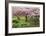 Evergreen Park-Donald Paulson-Framed Giclee Print