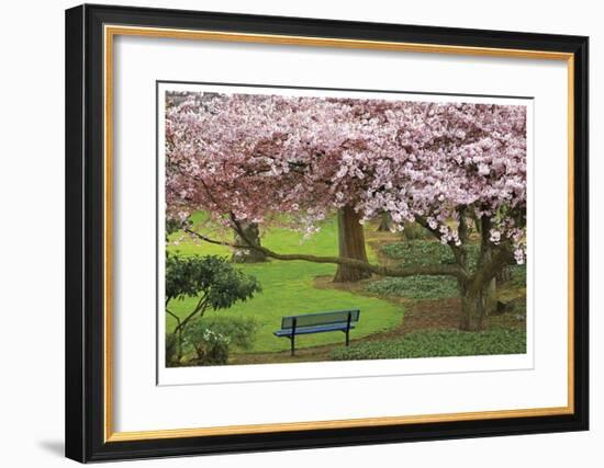 Evergreen Park-Donald Paulson-Framed Giclee Print