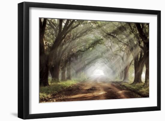 Evergreen Plantation-Mike Jones-Framed Giclee Print