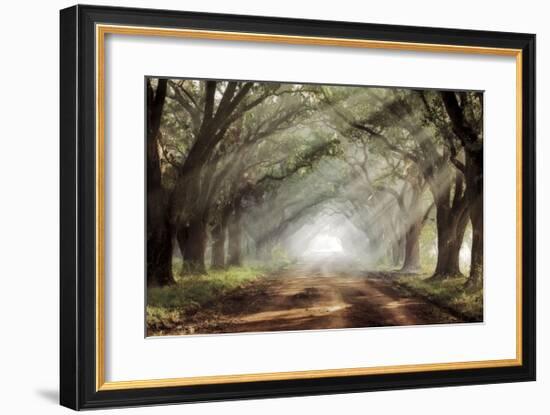 Evergreen Plantation-Mike Jones-Framed Giclee Print