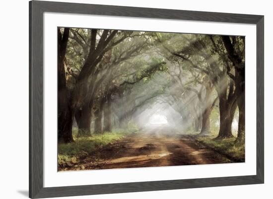 Evergreen Plantation-Mike Jones-Framed Giclee Print