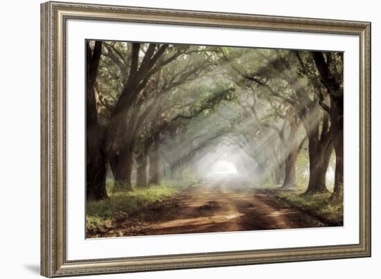 Evergreen Plantation-Mike Jones-Framed Giclee Print