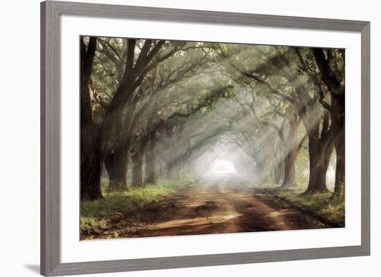 Evergreen Plantation-Mike Jones-Framed Giclee Print