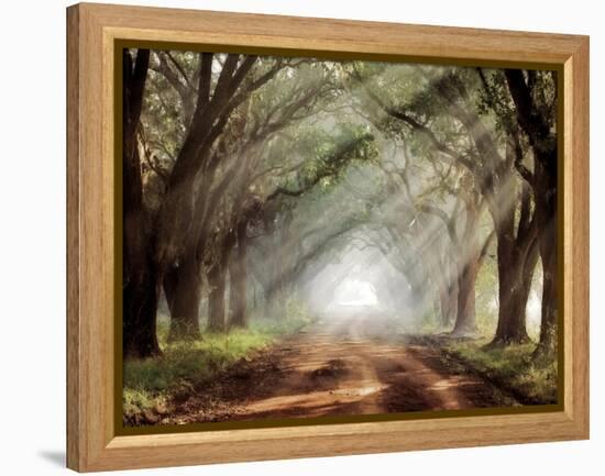 Evergreen Plantation-Mike Jones-Framed Premier Image Canvas