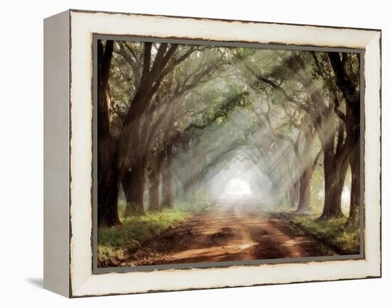 Evergreen Plantation-Mike Jones-Framed Premier Image Canvas