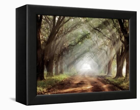 Evergreen Plantation-Mike Jones-Framed Premier Image Canvas