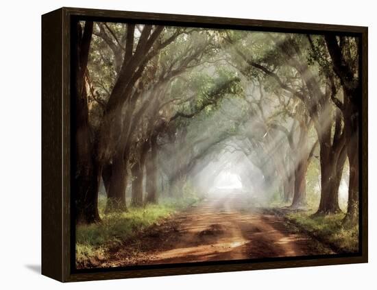 Evergreen Plantation-Mike Jones-Framed Premier Image Canvas