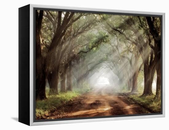 Evergreen Plantation-Mike Jones-Framed Premier Image Canvas