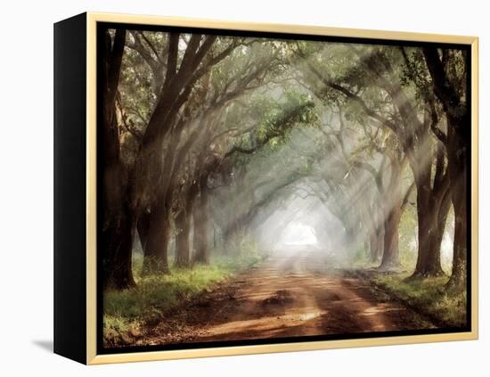 Evergreen Plantation-Mike Jones-Framed Premier Image Canvas