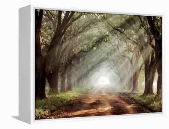 Evergreen Plantation-Mike Jones-Framed Premier Image Canvas