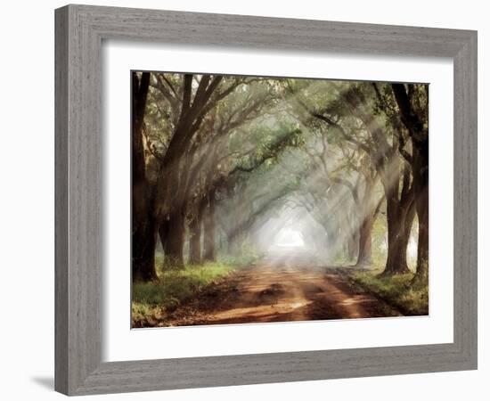 Evergreen Plantation-Mike Jones-Framed Premium Photographic Print