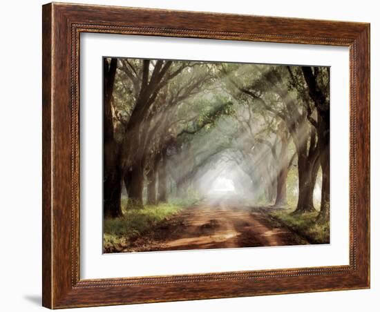 Evergreen Plantation-Mike Jones-Framed Premium Photographic Print