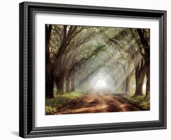 Evergreen Plantation-Mike Jones-Framed Premium Photographic Print