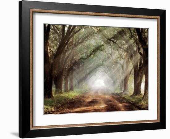 Evergreen Plantation-Mike Jones-Framed Photographic Print