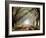 Evergreen Plantation-Mike Jones-Framed Photographic Print