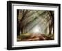 'Evergreen Plantation' Photographic Print - Mike Jones | Art.com