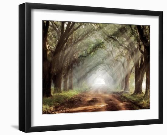 Evergreen Plantation-Mike Jones-Framed Photographic Print