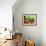 Evergreen-Megan Aroon Duncanson-Framed Art Print displayed on a wall