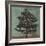 Evergreen-Erin Clark-Framed Giclee Print