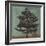 Evergreen-Erin Clark-Framed Giclee Print