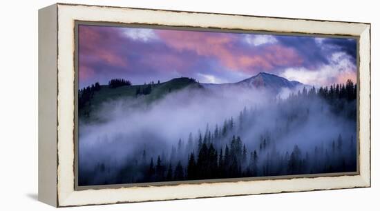 Evergreens Fog-Dan Ballard-Framed Stretched Canvas