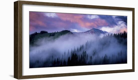 Evergreens Fog-Dan Ballard-Framed Photographic Print