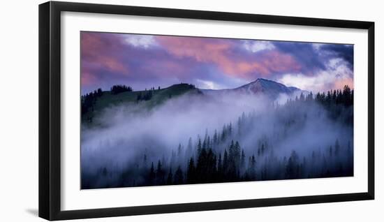 Evergreens Fog-Dan Ballard-Framed Photographic Print
