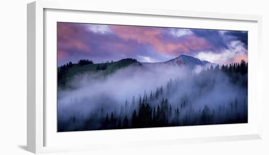 Evergreens Fog-Dan Ballard-Framed Photographic Print