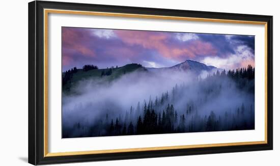 Evergreens Fog-Dan Ballard-Framed Photographic Print