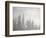 Evergreens Surrounded by Fog, Jasper National Park, UNESCO World Heritage Site, Alberta, Canada-James Hager-Framed Photographic Print