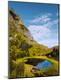 Premium Photographic Print