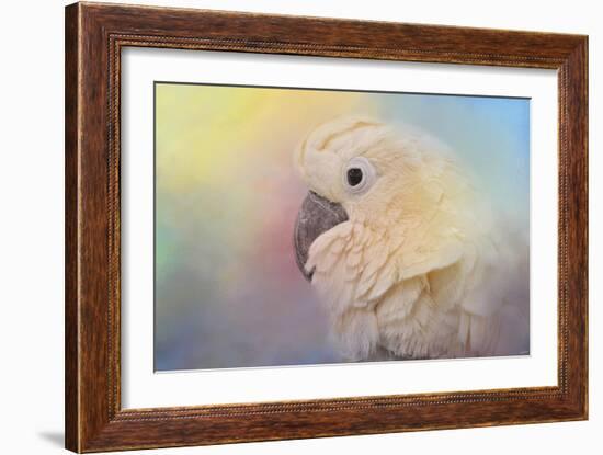 Every Day Is Colorful Umbrella Cockatoo-Jai Johnson-Framed Giclee Print