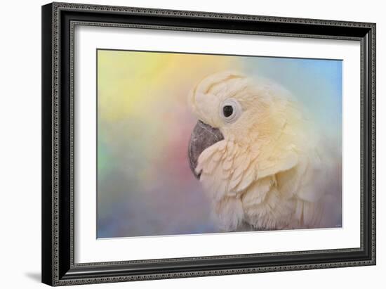 Every Day Is Colorful Umbrella Cockatoo-Jai Johnson-Framed Giclee Print