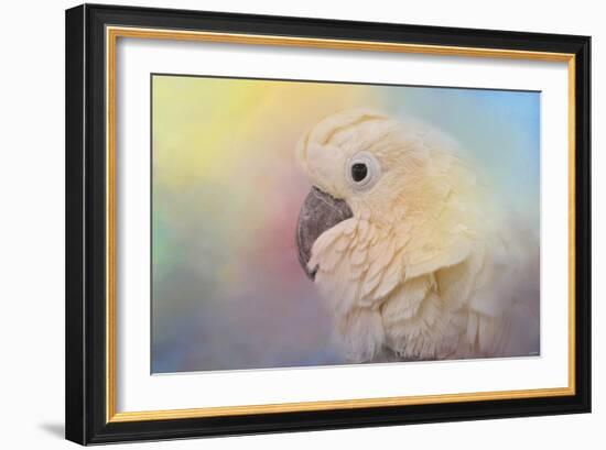 Every Day Is Colorful Umbrella Cockatoo-Jai Johnson-Framed Giclee Print