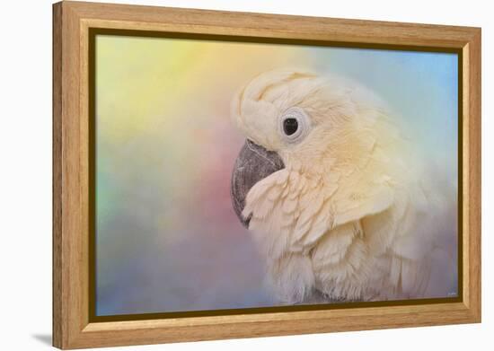 Every Day Is Colorful Umbrella Cockatoo-Jai Johnson-Framed Premier Image Canvas