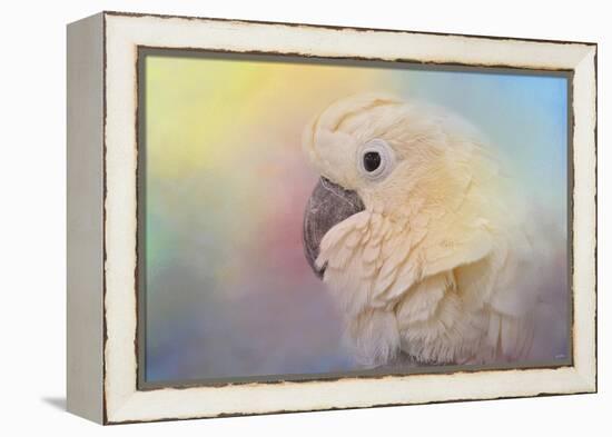 Every Day Is Colorful Umbrella Cockatoo-Jai Johnson-Framed Premier Image Canvas