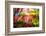 Every Little Thing-Philippe Sainte-Laudy-Framed Photographic Print